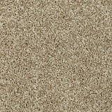 Mohawk CarpetSophisticated Tones